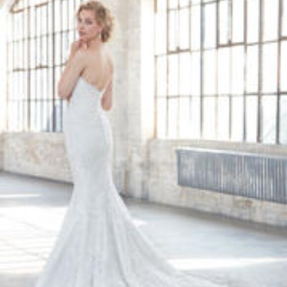 Mermaid Lace IVORY Wedding Dress, Plunging Vneck, Fitted Bum Sexy Fit & Flare - Picture 11 of 12